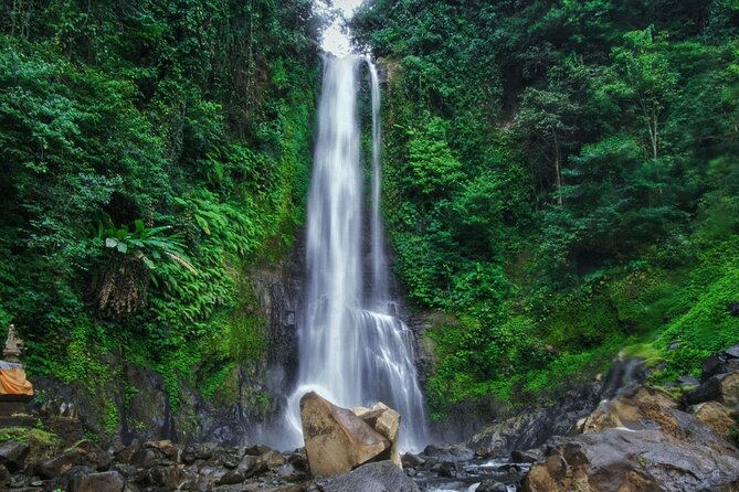 Dolphin Tour and Sunrise Watching in Lovina Beach - All Inclusive - Optional waterfall and temple upgrades, if you want more than photos