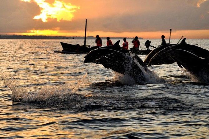 Dolphin Tour and Sunrise Watching in Lovina Beach - All Inclusive - The glass-bottom boat and the 2-hour dolphin window