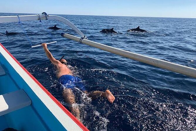 Dolphin Watching Tour, Swimming with Dolphins and Snorkeling - Price and value: what $21.39 includes, and what you should budget for