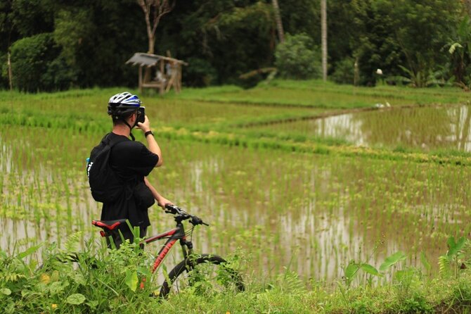 Downhill Cycling Ubud with Volcano, Rice Terrace and Educational - The Ride Through Kintamani Volcano Views and Rice Paddies