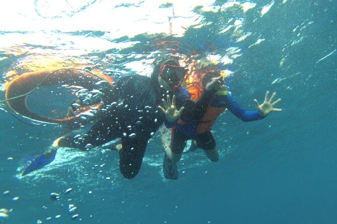 Early Bird Speedboat Group Tour : Explore Komodo Ahead of Crowds - Siaba Besar for Sea Turtles and Reef Life