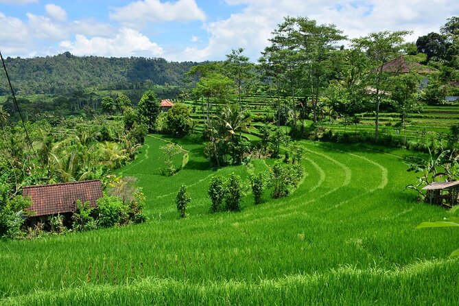 East Bali Tour: Gate of Heaven, Water Palace, Sleeping Gajah - Realistic expectations: the tradeoffs you should plan for