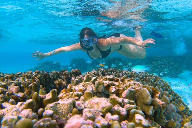 East Lombok Secred Gilis (Gili Kondo, Gili Bidara, Gili Petagan, Gili kapal) - Gili Bidara: Shallow Reefs for Beginners, Plus Sea Turtles and Rinjani