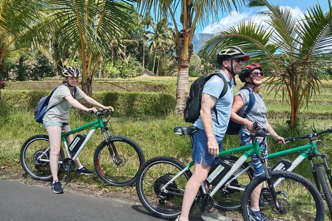 Electric bicycle tour in Jatiluwih UNESCO site - Key things worth knowing before you go