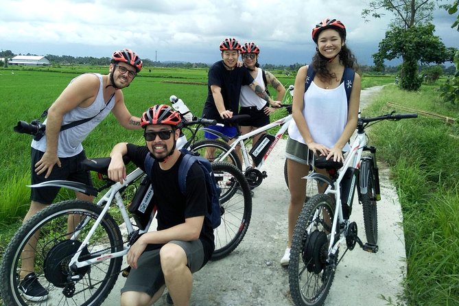 Electric bicycle tour in Jatiluwih UNESCO site - Stop and look: how the guide stories make the views stick