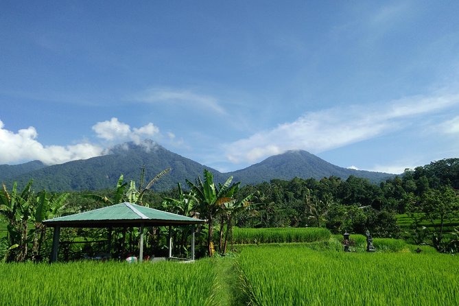 Electric bicycle tour in Jatiluwih UNESCO site - Lunch in the countryside: nasi campur, coffee or tea, and a break that feels real