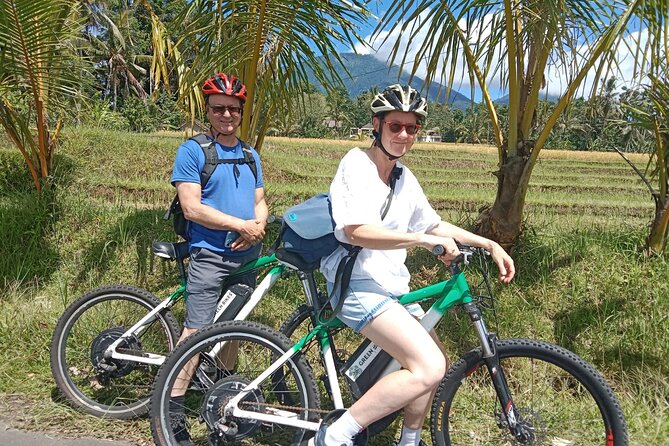 Electric bicycle tour in Jatiluwih UNESCO site - Price and value: what $75 buys you in Bali time