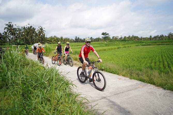 Electric Bike and Swing Package - Key things I’d circle before booking