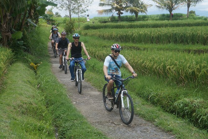 Electric Bike and Swing Package - Taro Village: extended-family life, palms, and a temple front