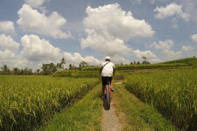 Electric Bike Tour in Ubud - Key things I think you’ll care about most