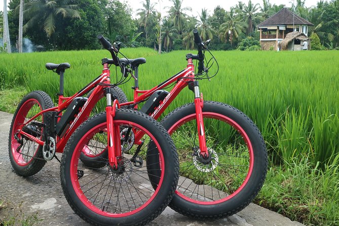 Electric Bike Tour in Ubud - Electric fat-tire bikes around Ubud: why it works