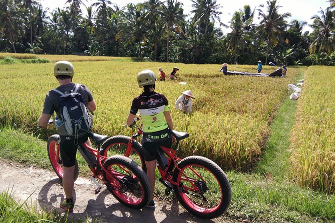 Electric Bike Tour in Ubud - From Puri Bebengan to the rice paths: pickup and timing