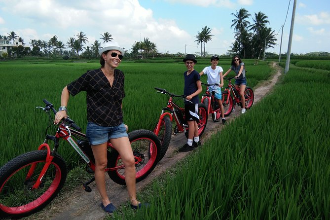 Electric Bike Tour in Ubud - Price check: $34 for bikes, guide, lunch, and transfers