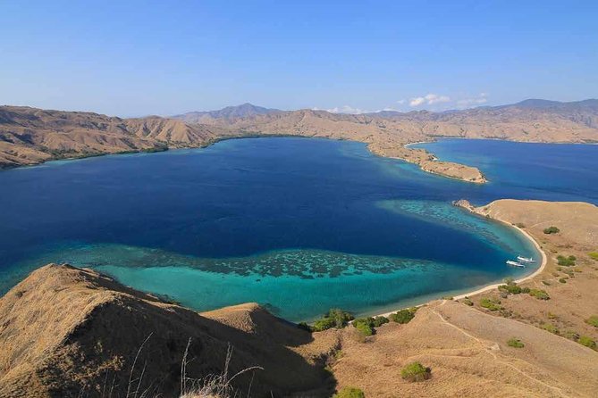Exclusive Early Bird Komodo Tour: Beat the Crowds by Speed Boat - Why this early Komodo speedboat day works