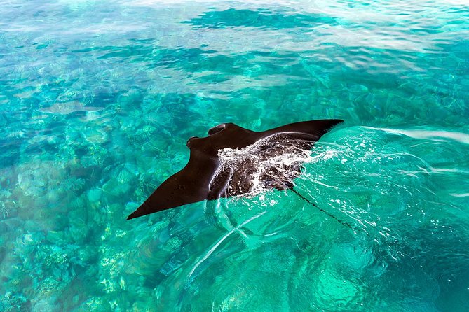 Exclusive Early Bird Komodo Tour: Beat the Crowds by Speed Boat - Padar Island steps and that viewpoint moment