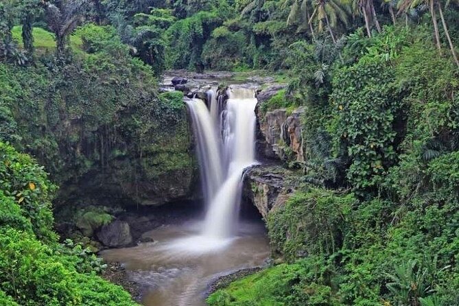 Exclusive Ubud Experience: Nature, Culture & Adventure in One Day - Private car pickup at 8:30 AM, and a guide who actually helps