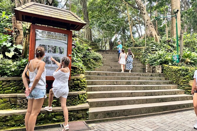 Exclusive Ubud Experience: Nature, Culture & Adventure in One Day - Tegallalang Rice Terraces and the jungle swing moment