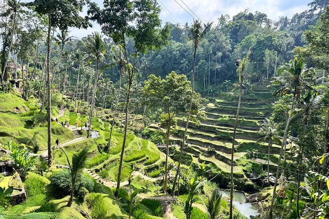Exclusive Ubud Experience: Nature, Culture & Adventure in One Day - Tegenungan area waterfall: time to cool off in the jungle