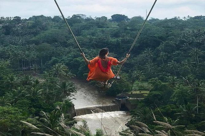 Experience Full Day to Bali Swing Temple and Monkey Forest - Key things I’d expect from this Ubud day trip