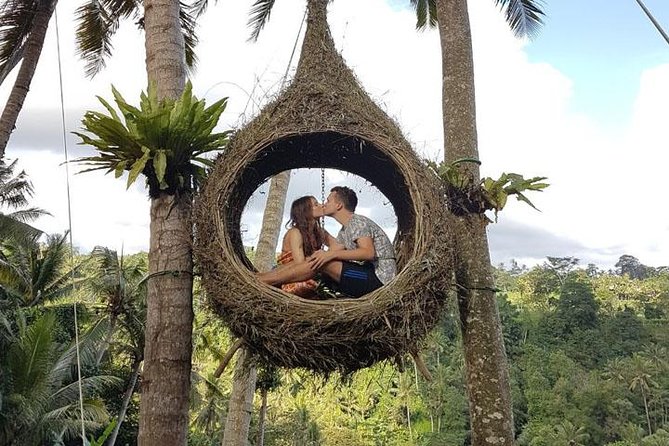 Experience Full Day to Bali Swing Temple and Monkey Forest - Picheaven Bali Swing: the safety briefing and the height choices