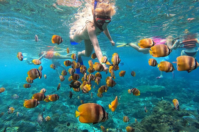 Explore 4 iconic snorkeling spots of Manta Bay in Nusa Penida - Key takeaways before you go