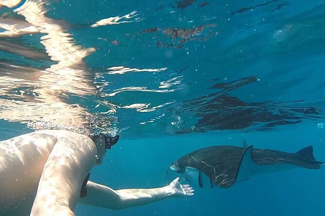 Explore 4 iconic snorkeling spots of Manta Bay in Nusa Penida - The included GoPro photos and video: nice value, with one caveat