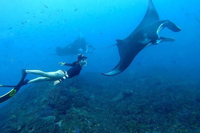Explore 4 iconic snorkeling spots of Manta Bay in Nusa Penida - What you actually get for $27, and what you’ll still pay for