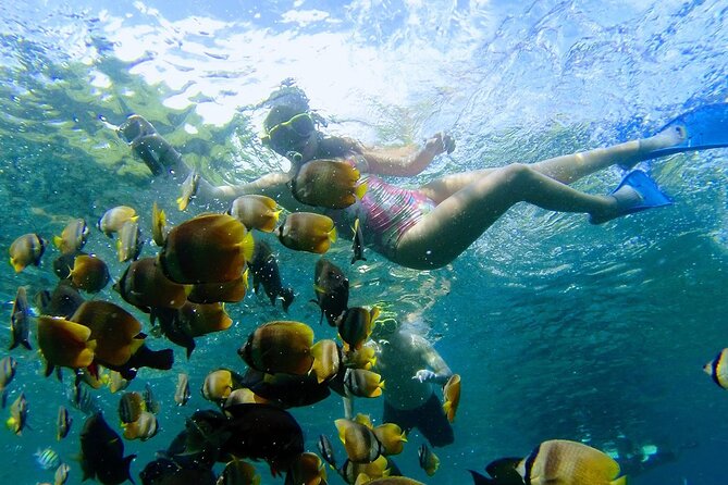 Explore 4 iconic snorkeling spots of Manta Bay in Nusa Penida - Small-group feel: why max 15 can make the trip better