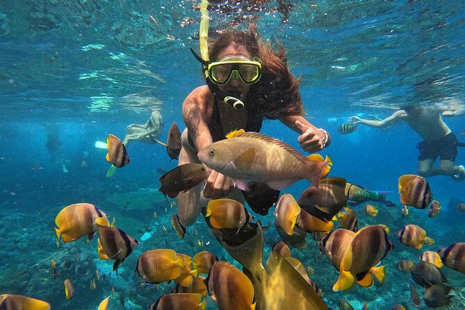 Explore 4 iconic snorkeling spots of Manta Bay in Nusa Penida - Should you book this Manta Bay snorkeling tour?