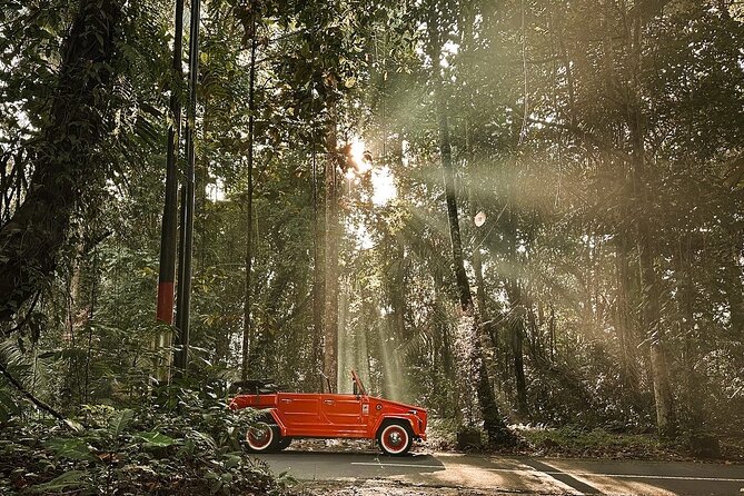Explore Bali's Hidden Gems In a Classic Vw Convertible - Stop 5: Tegalalang Rice Terraces, subak irrigation views