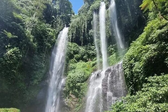 Explore Munduk Customized 8 Hour Day Tour in North Bali - Coffee plantations and the free 8-type tasting