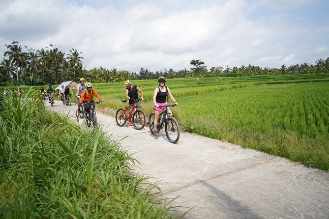Explore Ubud with Electric Bike - What the group tour experience is really like (max 12 people)