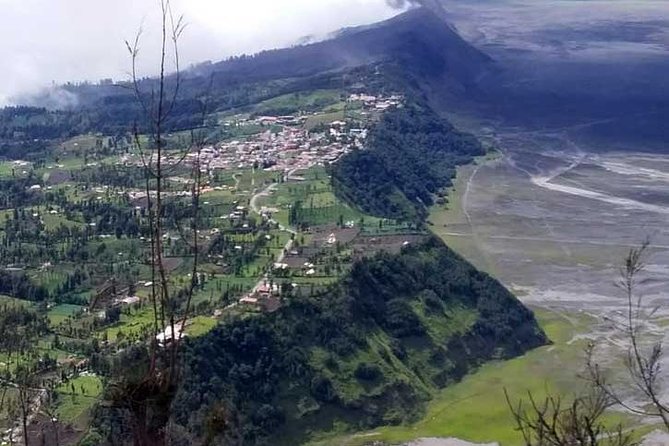 Explore volcano Bromo - start Surabaya // 2 days 1 night - Ngadisari (Kalikajar): Coffee, Farmers, and Caldera-Edge Views