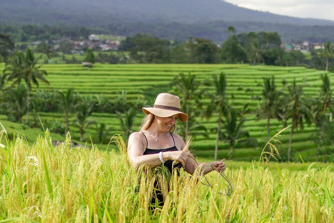 Exquisite UNESCO World Heritage Sites in Bali - Jatiluwih Green Land rice terraces: where the views do the talking