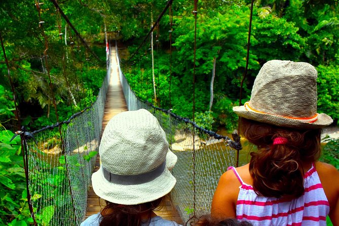 FAMILY JUNGLE TOUR: Orangutan Trek (4-hours hike) by EcoTravel Bukit Lawang - Gunung Leuser National Park: rainforest walking and valley viewpoints