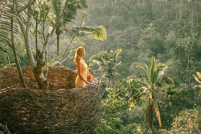 Fantastic Ubud Tour with Jungle Swing - Pickup, Comfort, and Who This Tour Fits Best