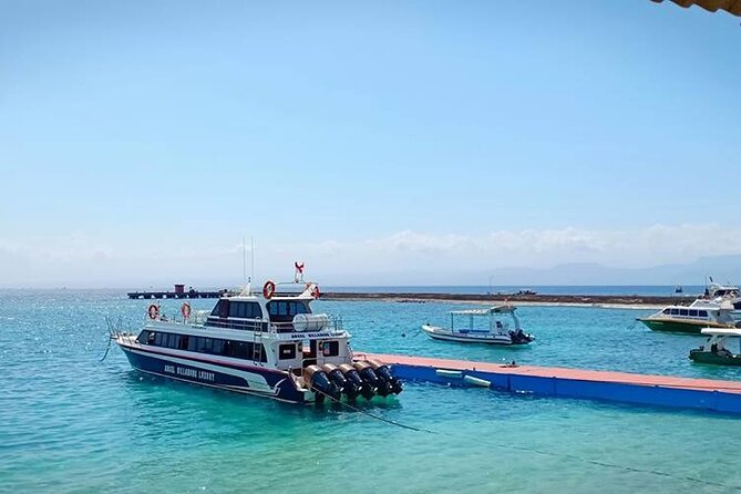 Fast Boat Transfer: Sanur to Nusa Penida by Penidago - Landing on Nusa Penida: Shoreline Steps When the Port Is Still Changing