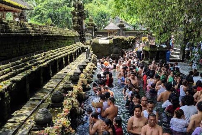 Favorite Sites of Ubud Daytrip - Tegalalang Rice Terrace: views, steps, and time for the best angles