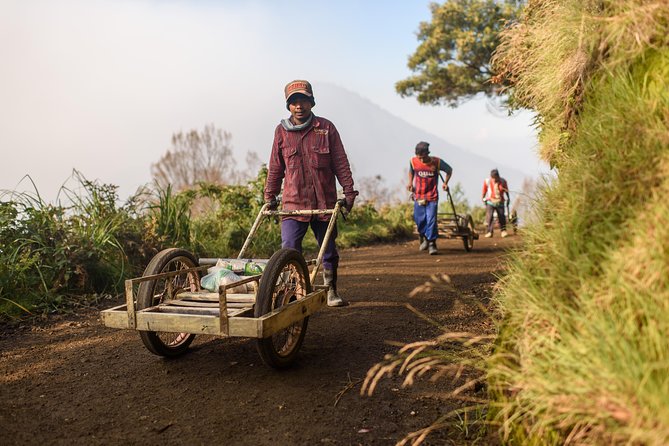 From Bali : Bromo & Kawah Ijen – 3-Day Adventure - Guides, English Support, and Local Pride (Sahal, Fani, Epi, Reza)