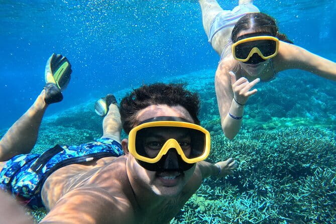 From Bali: Nusa Penida Full Day Tour and Snorkeling - A fast, well-run Nusa Penida day from Bali