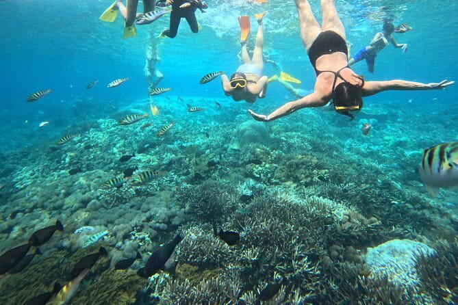 From Bali: Nusa Penida Full Day Tour and Snorkeling - Manta Bay: a shorter snorkel slot that still feels like a payoff
