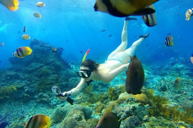 From Bali: Nusa Penida Snorkeling and Island Tour - Snorkeling Stops: Manta Bay, Crystal Bay, Gamat Bay, and Wall Bay Point