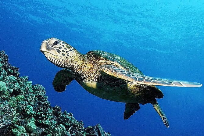 From Gili Trawangan & Gili Air Snorkeling Trip Sharing & Private - What Is Actually Included (And Why That Helps)