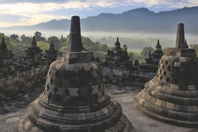 From Semarang Port: Borobudur Temple Private Shore Excursion - Should you book it? My decision checklist