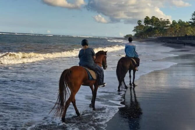 From Ubud 1 Hour Horse Riding at The Beach Experiences - Practical expectations: physical fitness, weight limit, and comfort