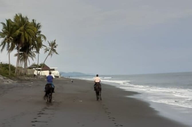 From Ubud 1 Hour Horse Riding at The Beach Experiences - Getting to the beach: pickup, drive time, and what it means for you