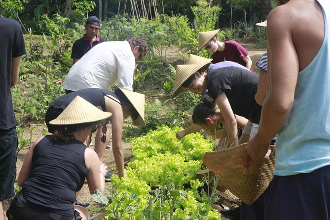 From Ubud: Authentic Bali Farm Cooking School & Organic Farm - Price and value: is $38 a fair deal?