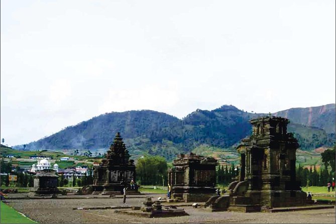 From Yogyakarta: Dieng Plateau Golden Sunrise Private Day Trip - The midnight-to-sunrise plan that actually works