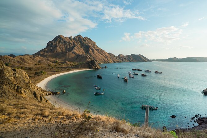 Full-Day Adventure Tour to komodo Island with join Speed Boat tur - Komodo National Park Walk: Rangers, Monsoon Forest, and Realistic Dragon Expectations