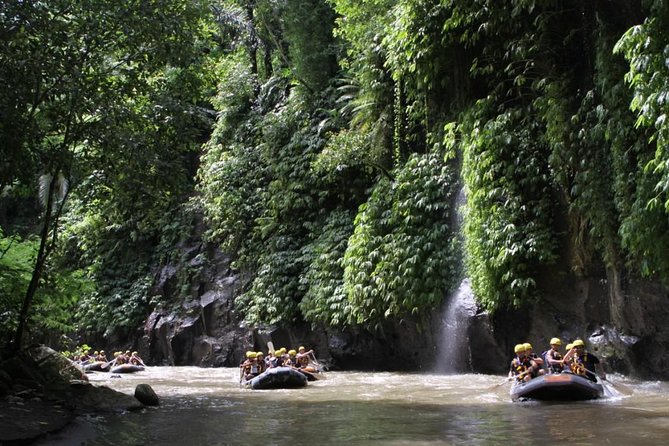 Full-Day Ayung River White Water Rafting and Ubud Tour - Sacred Monkey Forest Sanctuary: rules first, then gray macaques up close